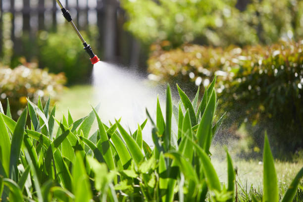 24/7 Emergency Mosquito Control experts in Short Hills, NJ
