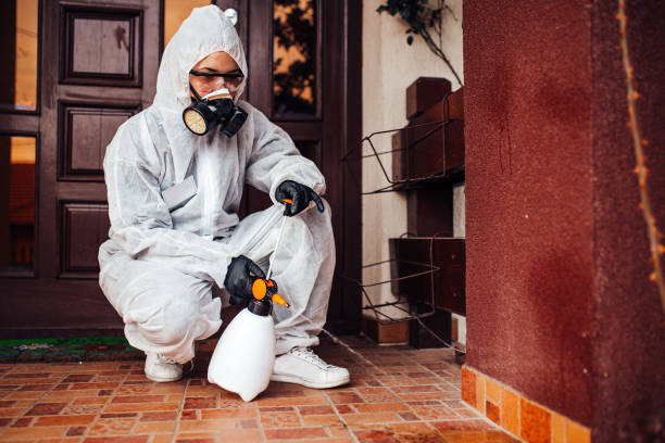 Reliable Mosquito Control contractor in Short Hills, NJ by Show Me Pest Control